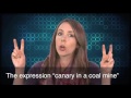 English in a Minute: Canary in a Coal Mine