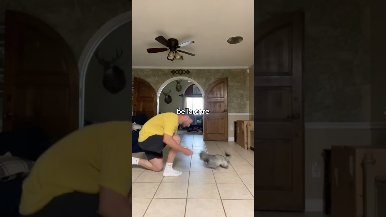 Прекрасное сердце😭