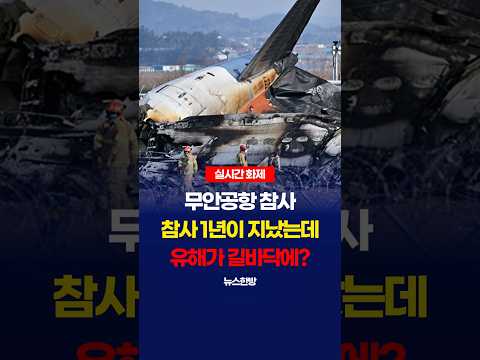 <strong>무안공항</strong> 99% 수습 완료? 뼈가 나뒹군다