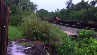 FEC TRAIN 202#344