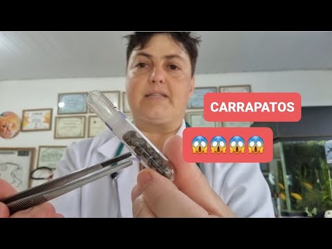 Vídeo: Controle de carrapatos para jardas - Como se livrar de carrapatos no meu jardim