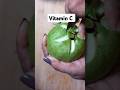 Vitamin C Fruit Guava Trending Shots Youtubeshorts Content