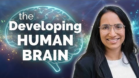 Understanding Cell Types in the Developing Human Brain and in Glioblastoma