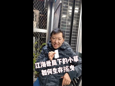 週末小草會：江海世局下的小草如何生存搖曳，「我們都是陌生人」電影在被窩裡看。#20240127#王尚智