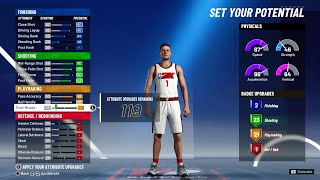 NBA 2K21 Character Creation (MP Builder)