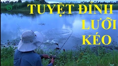 Fishing Lure | Câu cá lóc | Tuyệt đỉnh lưỡi kéo | Sắc Màu VN