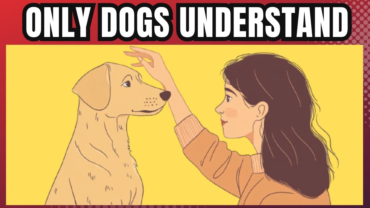 40 Ways To Tell Your Dog You Love Them - YouTube