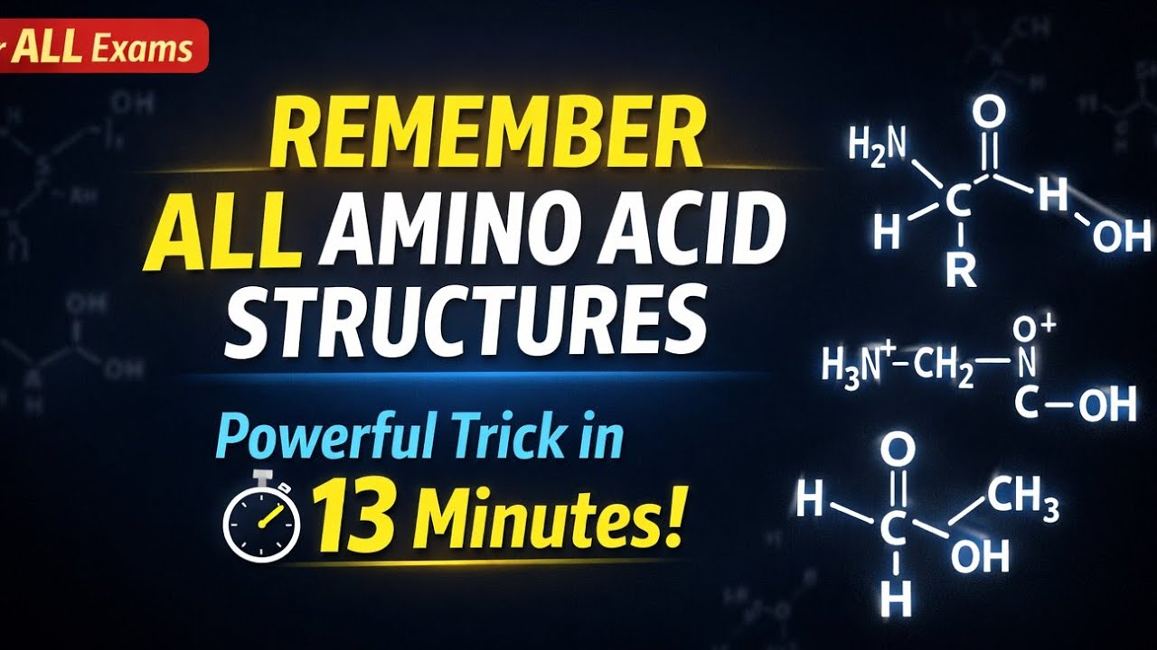 Learn all amino acids structure in just 13 minutes // Biomolecules.