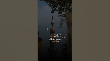 أفلا يتوبون الي الله ويستغفرونه 🤍🌿 #أفلا_يتوبون_إلى_الله #سورةالمائدة #ناصرالقطامي #قران_كريم