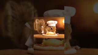 SQUIRREL EXPLORATION IN THE STORY #short #shorts #shortvideo #squirrel #squirrelstory