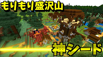 マイクラシード マイクラシード
