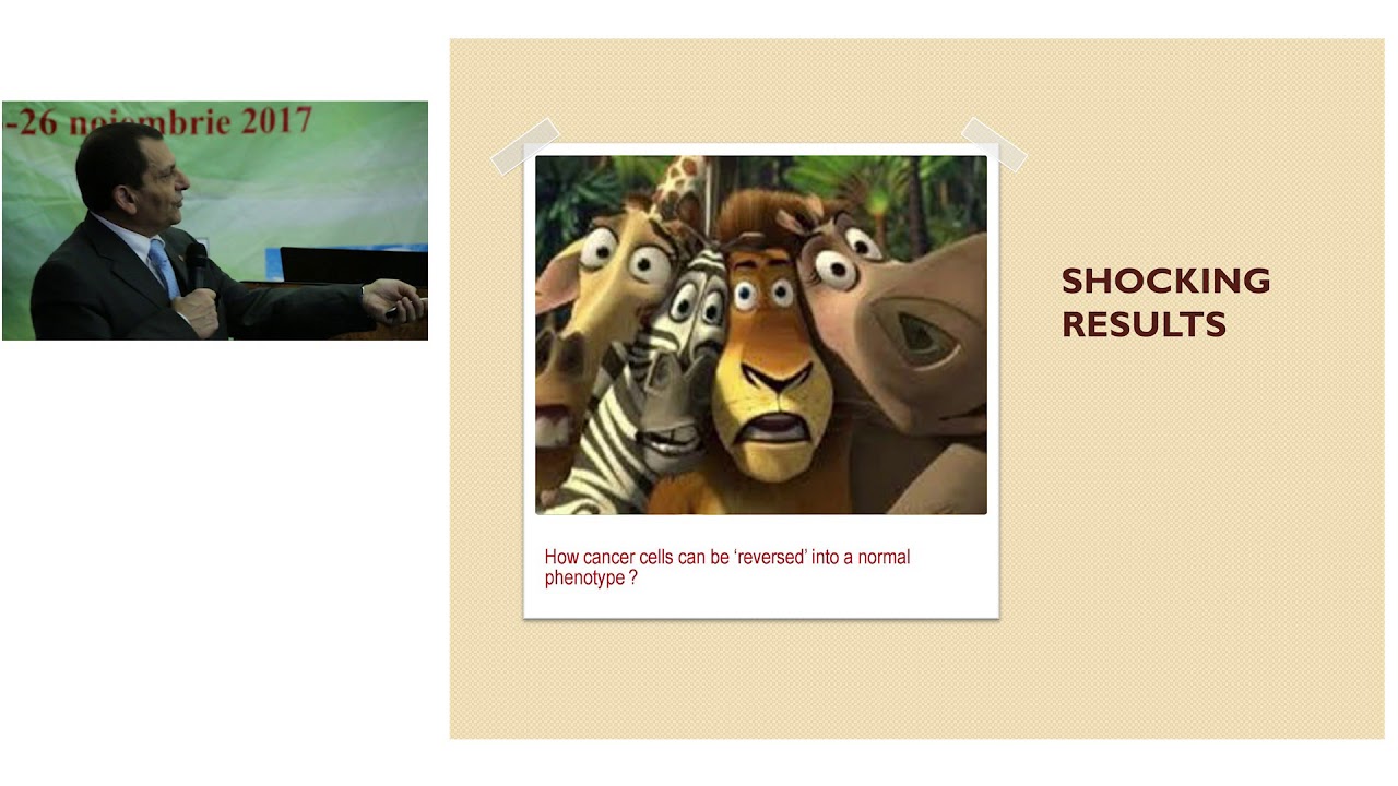 Prof. Mariano Bizzarri - Cancer Cell Reprogramming through Epigenetic Mechanisms (RO-INMED 2017)