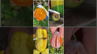 Oddly Satisfying Fruit Cutting Asmr