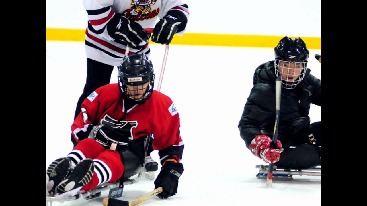 GLASA / Falcons Sled Hockey at Lake Forest College YouTube