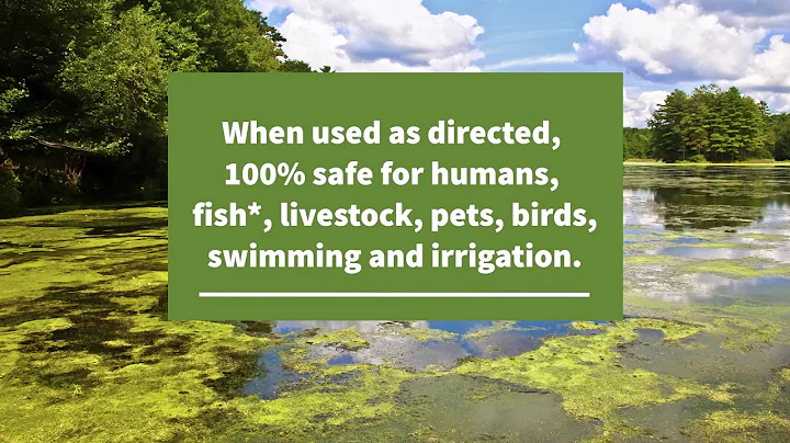 Crystal Plex Liquid Algae Control