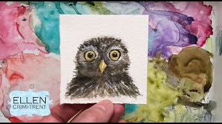 Watercolor Owl Tutorial for Beginners- Mini Monday Madness