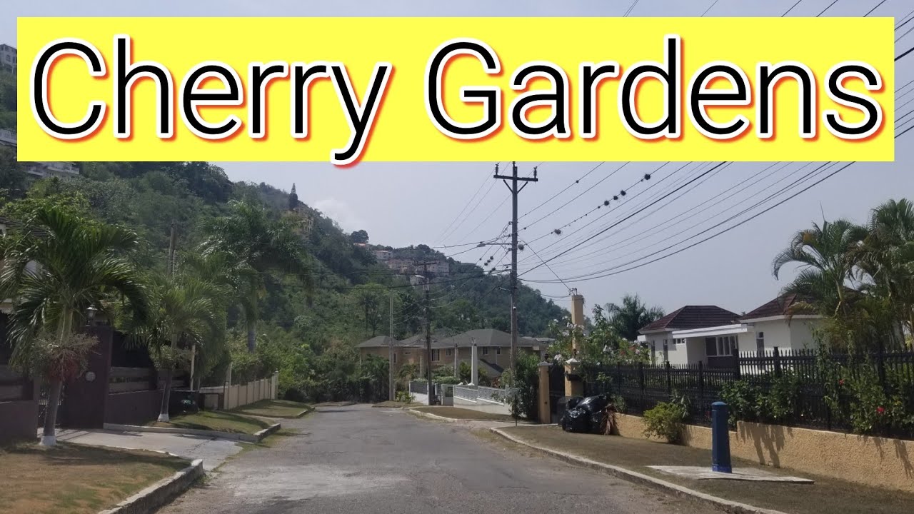 Cherry Gardens | Kingston