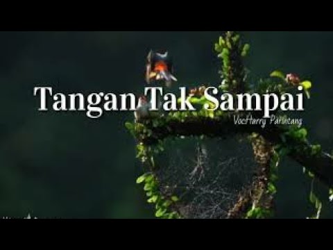 TANGAN TAK SAMPAI HARRY PARINTANG