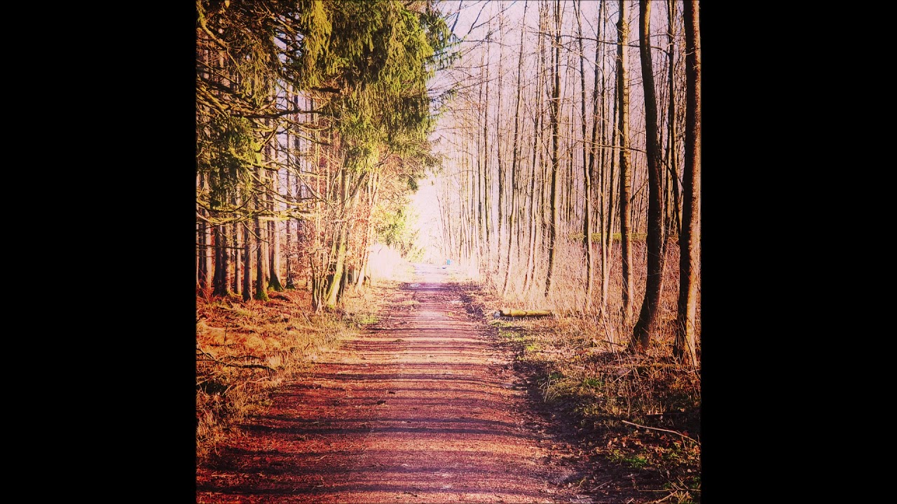 Woods - Craftable Dani