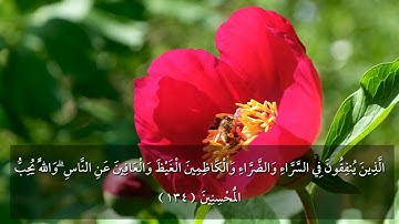 وسارعوا إلى مغفرة من ربكم/ من سورة آل عمران / الشيخ أحمد النفيس / مقام اللامي