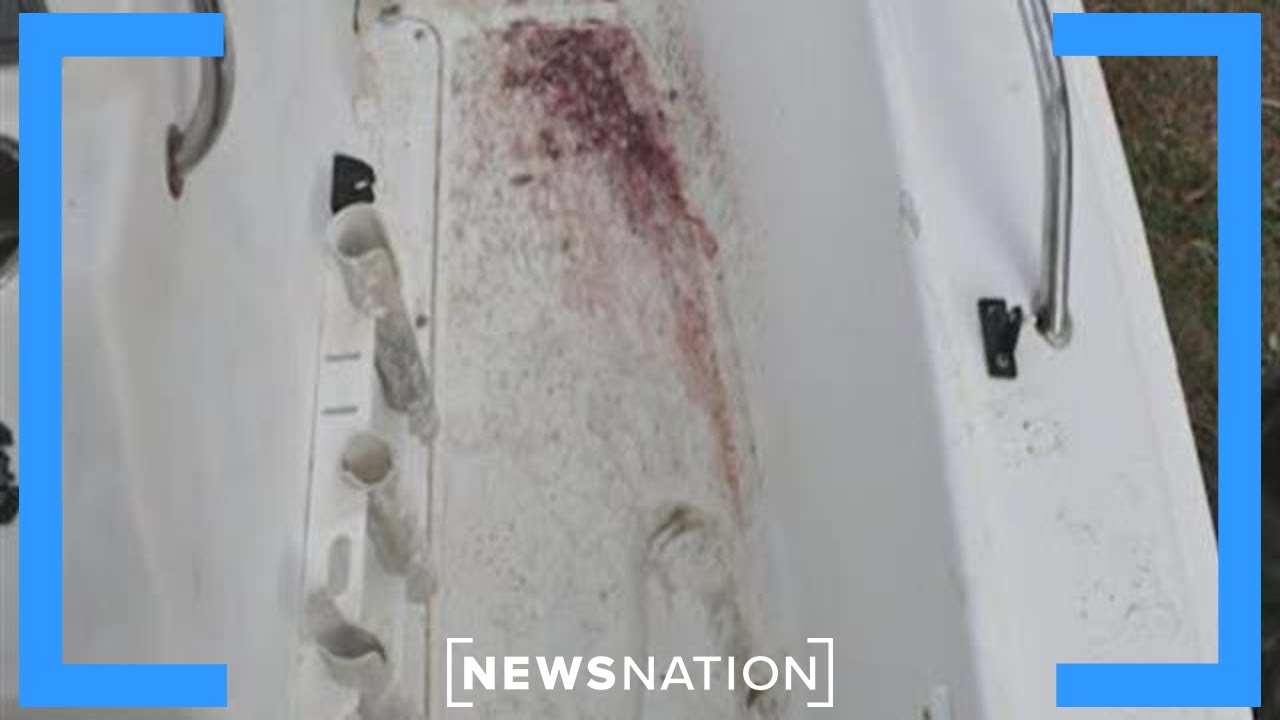 Double murder charges for Alex Murdaugh Banfield YouTube