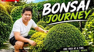 Bonsai Journey The Beauty Art Patience of Bonsai