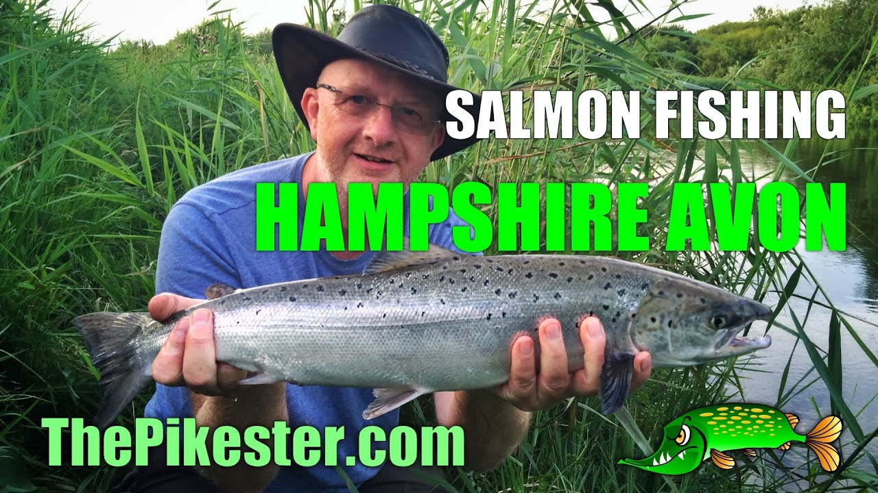Salmon Fishing Hampshire Avon (1) YouTube Salmon Fishing Hampshire Avon (1) YouTube