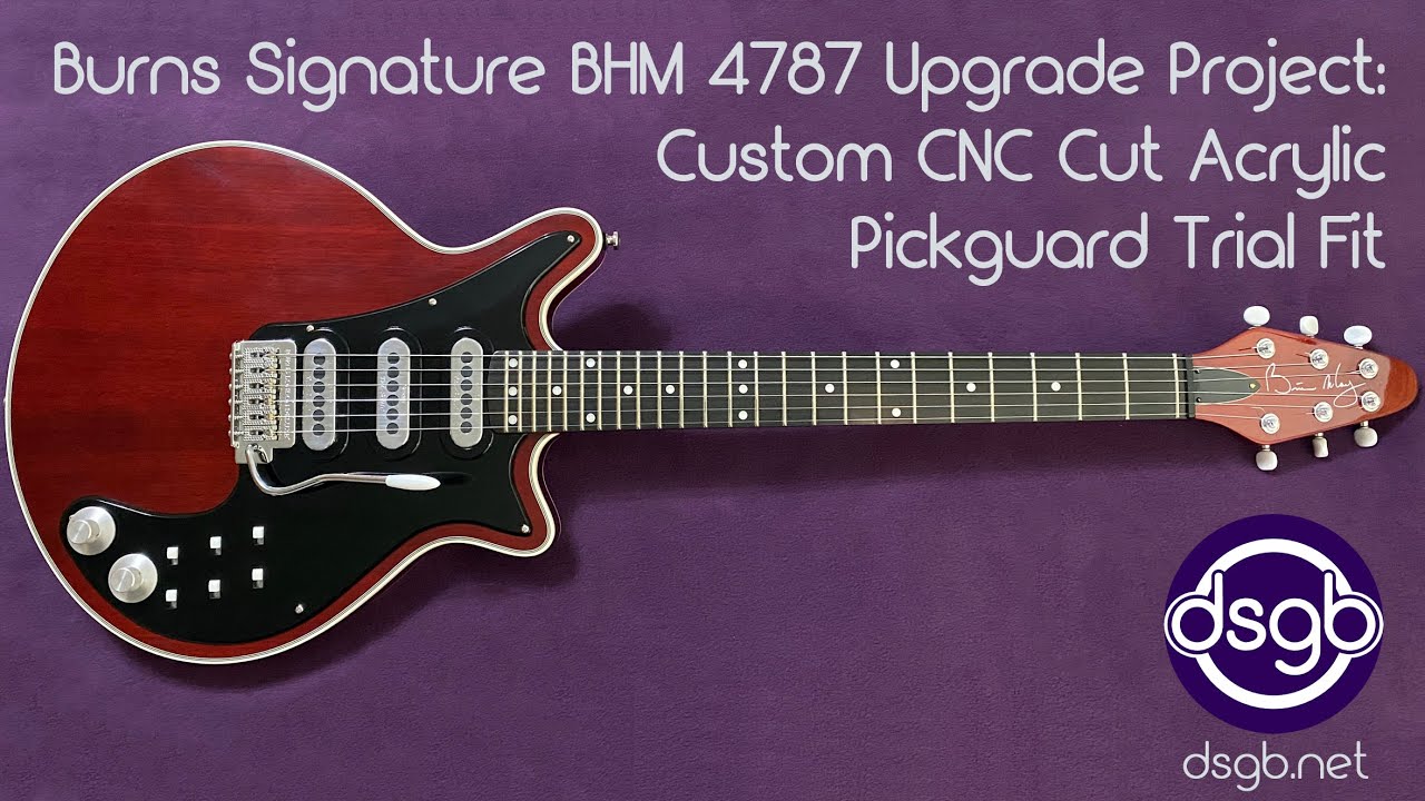 The Mods 30th Anniversary ギターピックフレーム Zakk Wylde BLS DOOM CREW Heathen Grail Mini Guitar Replica