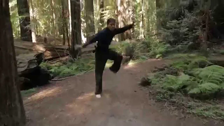 SAI Fundamental Training & Sequence (YMAA White Cr...
