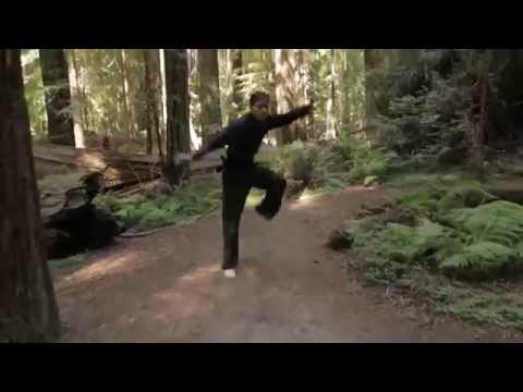 SAI Fundamental Training Sequence YMAA White Crane Kung Fu Nicholas Yang Dr Yang