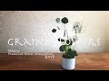 Making Preserved flower arrangement.Green arrangement.【DIY】