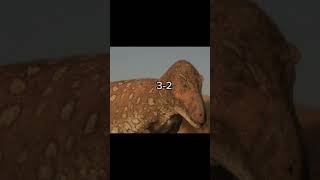 Tyrannosaurus rex vs Tarbosaurus bataar