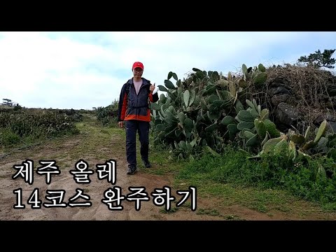 굴렁진숲길
