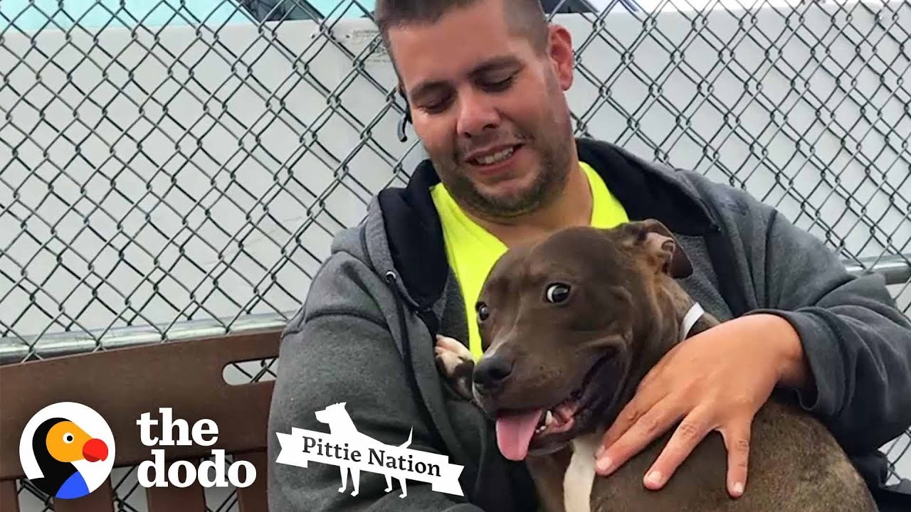 ⁣Guy Drives 2,800 Miles To Rescue A Pit Bull | The Dodo Pittie Nation