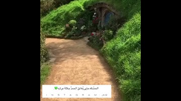 سورة الرحمن