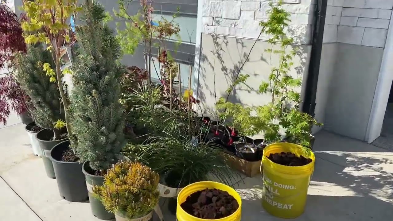 Planning and Implementing the new Therapy Garden // May 2025