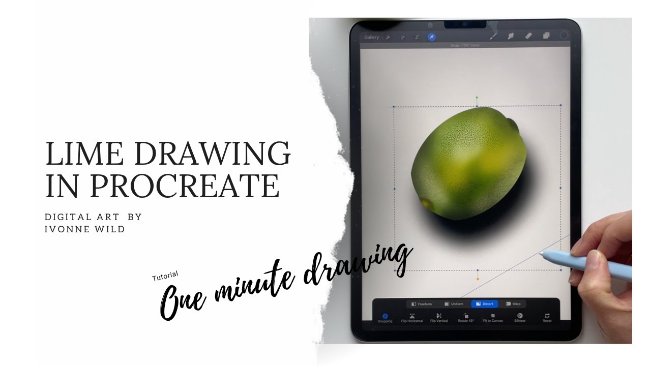 Digital lime drawing in procreate #digitalart #tutorial #art #procreate ...