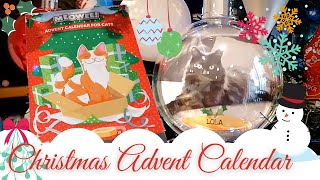 Opening my Catmas Advent Calendar | Lola the Cat