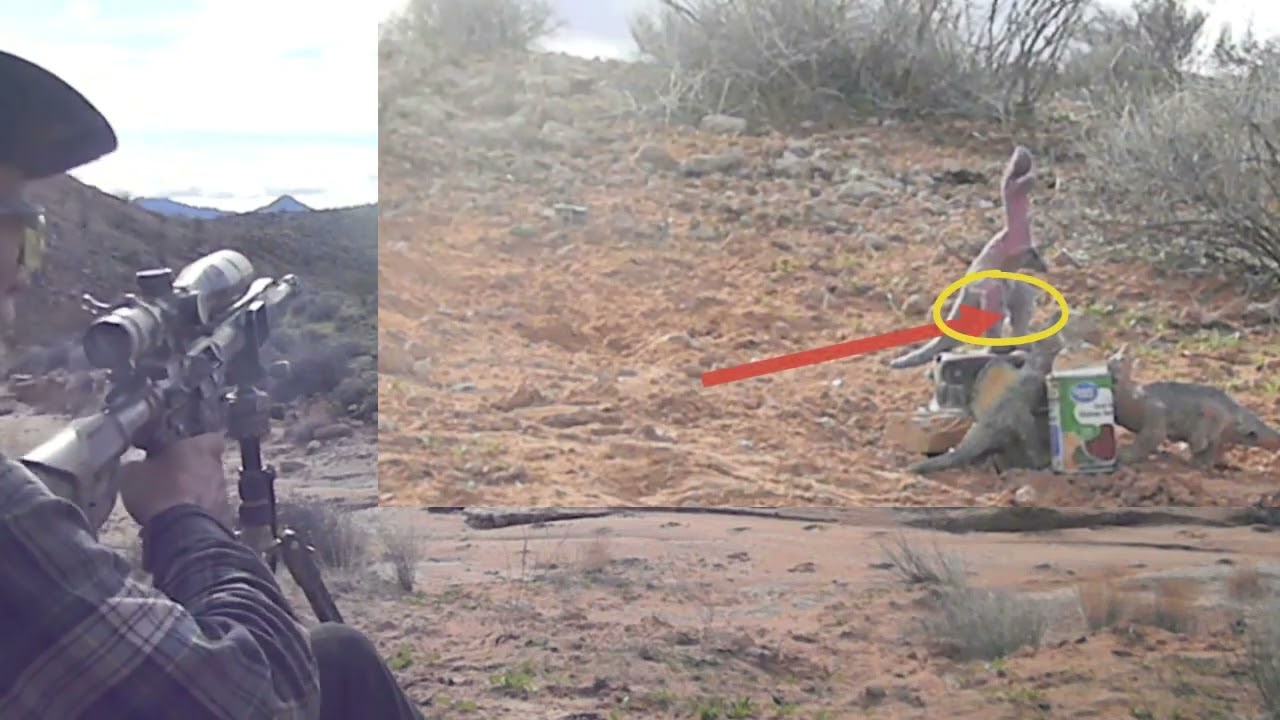 AR-10 BEAR Creek 308 дважды попал в динозавра; патрон 130Hp/178 gr Mauser 30-06 попал в банку.