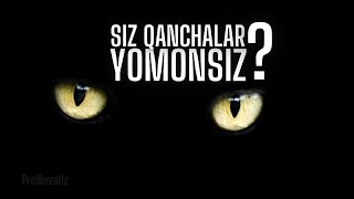 Qanchalar Yomonsiz? // Psixologik Test // O'zingizni Sinab Ko'ring!