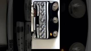 Boss DM101 Alle the Mono Analog Delays