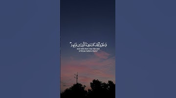 يأيها الذين ءامنوا إن تنصروا الله ينصركم و يثبت أقدامكم || القارئ: فارس عباد