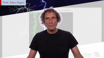 Simulation Neuroscience | EPFL on edX