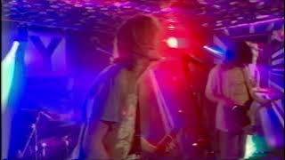 Sun Puddle Live 2025 Belltown Yacht Club