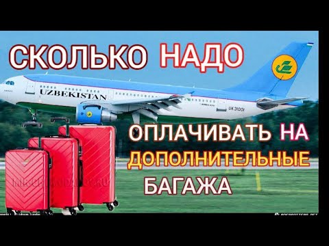 Video: Эппли аэропортуна канча эрте жетишим керек?