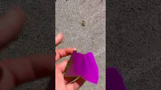 Famous Finally had an idea Wealth