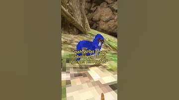 Go get him rufus! #gorillatag #gtag #shorts #trending #funny #viralvideo #gorillatagfun #memes #vr