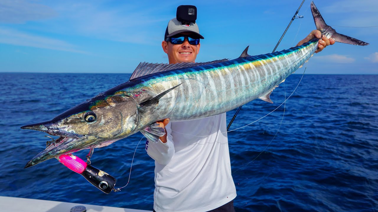 ONCE in LIFETIME CATCH! Wahoo on Popper Catch Clean Cook (Panama Fishing)