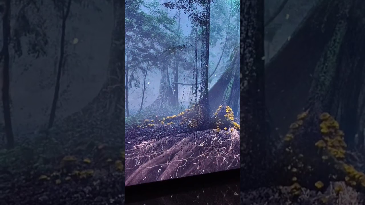 Museum of the Future #future #museum #Dubai #travel