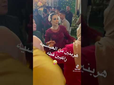 هربنين من العباسية راكبين قطه